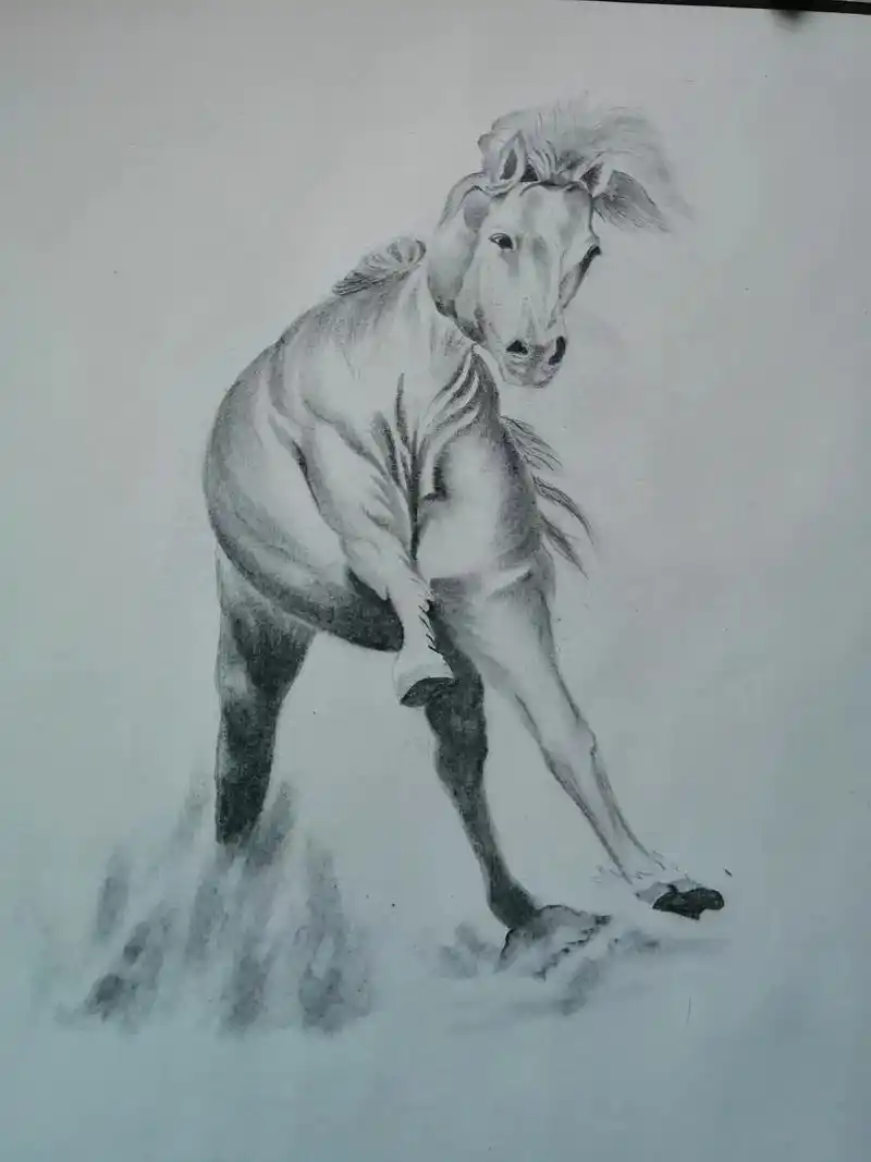 铅笔画俊马奔腾