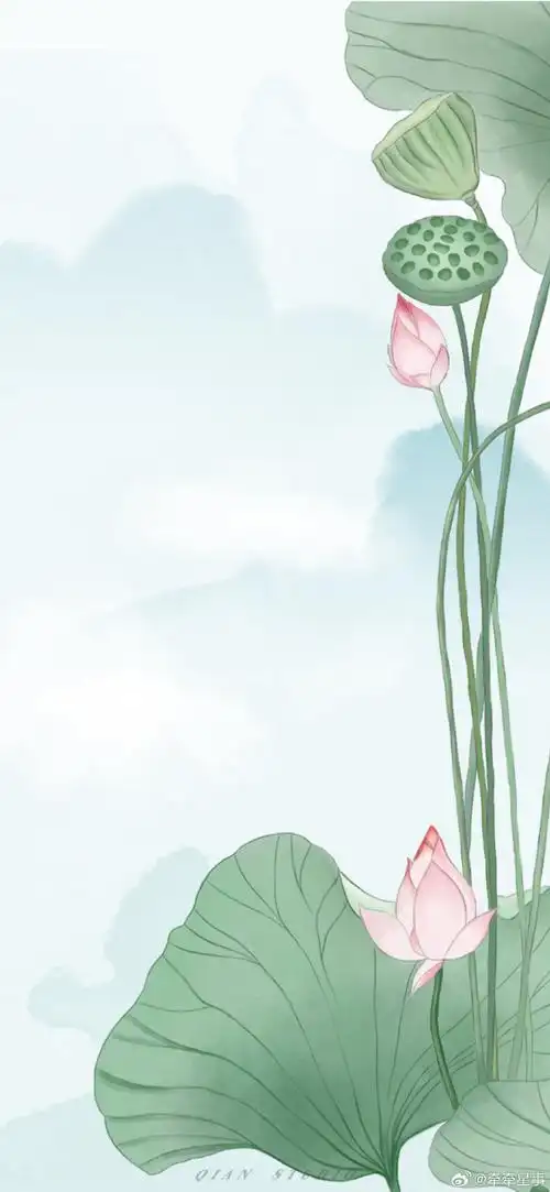 大暑清新壁纸,适合所有人78