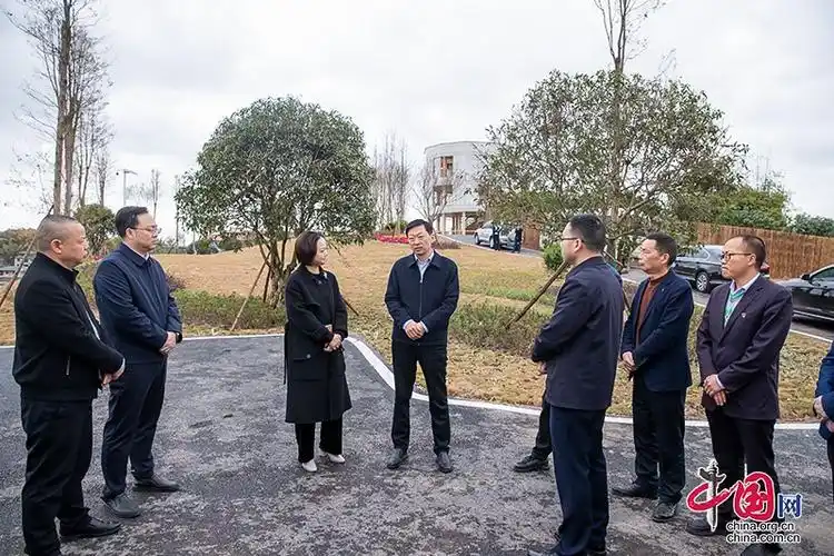 自贡市富顺县委书记杨斌调研宜居宜业和美乡村建设强调打造城乡融合