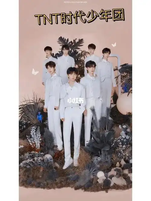 时代少年团tnt