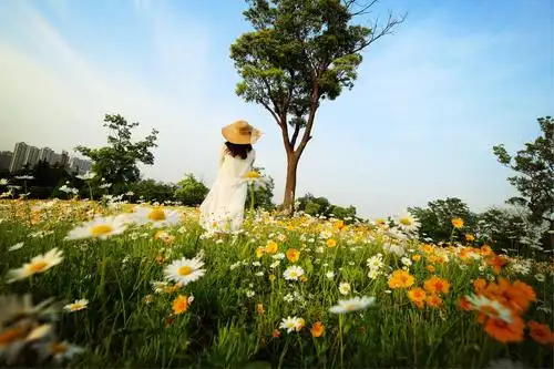 小小的背影,也不辜负这美妙的时光,与记忆相伴,封存美好.