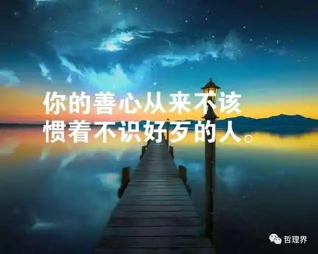 关于人生感悟正能量的句子经典语句的信息