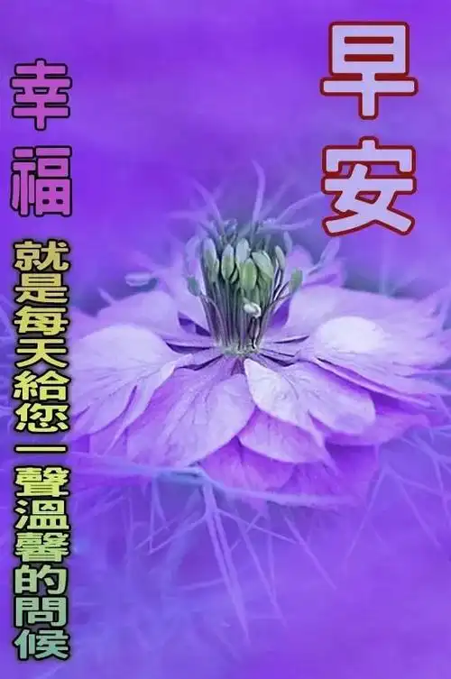 8张最新夏日暖心的早上好祝福语图片带字 有创意的清晨早安问候祝福语