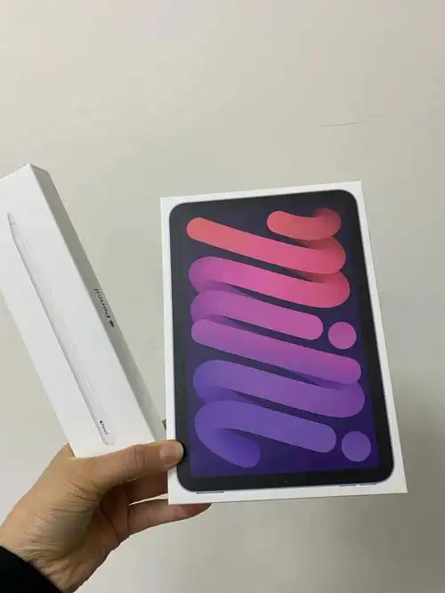 猪队友送的ipadmini6和pencil二代