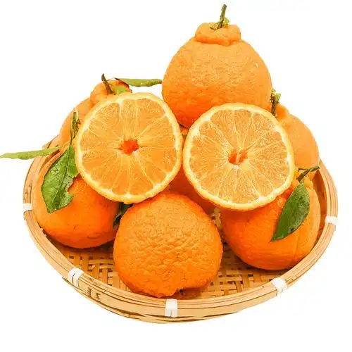 四川不知火丑橘新鲜水果9斤当季整箱丑哭橘蜜桔丑八怪桔子柑耙耙