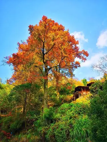 最美的冬日,最美的遇见