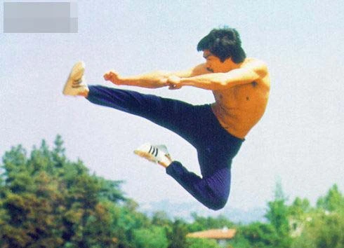 求一张男的的飞踢图片_百度知道