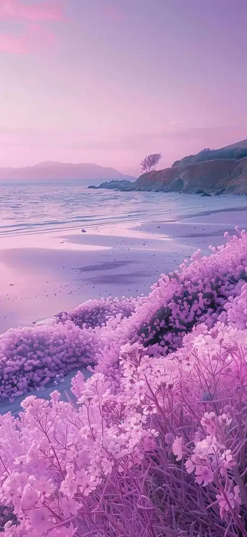 梦幻粉色系大海壁纸