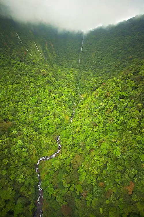 比奥科岛几内亚湾最大岛屿,是非洲最美丽的岛屿之一,也是非洲动物重要