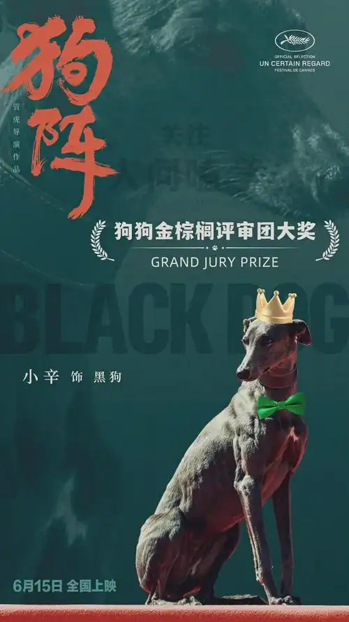 管虎新作《狗阵》戛纳获大奖,彭于晏领衔定档6月15日