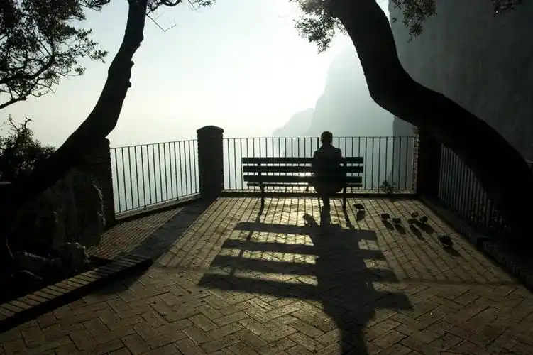 一个女性,阴影,长椅,树,背面,思考,放松,摄影,剪影,卡普里,彩图,独处