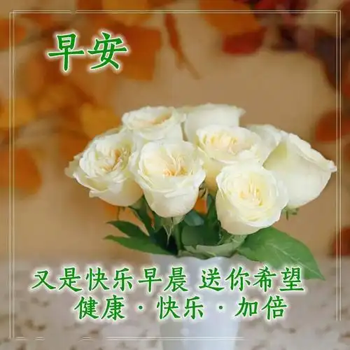 中老年早上好表情包2020朋友圈最新早安问候送给你新版早上好动态美女