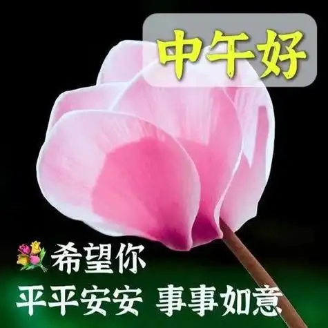 中午好片大全中午好问候中午好祝福祝你幸福快乐平安健康