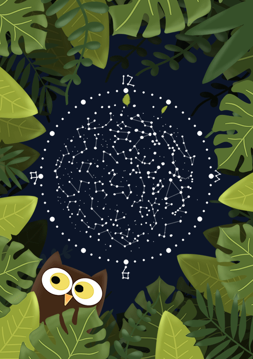 万物皆可盘oppowatch星空动态表盘