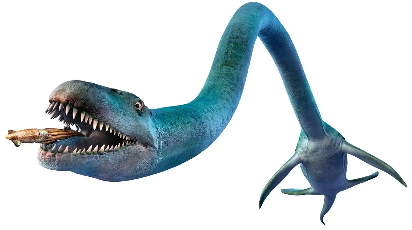 蛇颈龙的脖子那么长,游泳时阻力不大吗?它们用更大的体型来补偿