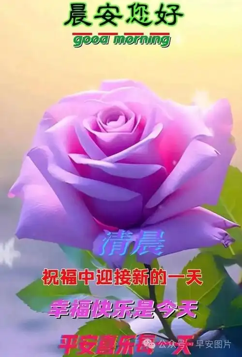 愿真诚的友谊,为你生一盆火焰,卸寒;愿虔诚的祈愿,为你加一件衣棉