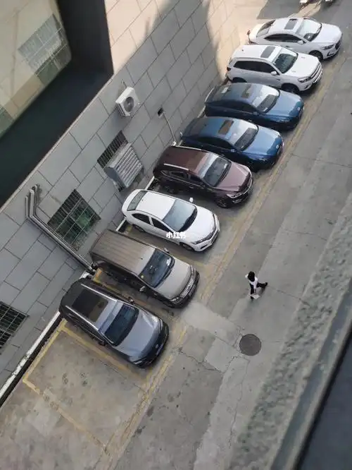 好多人买了车都不开