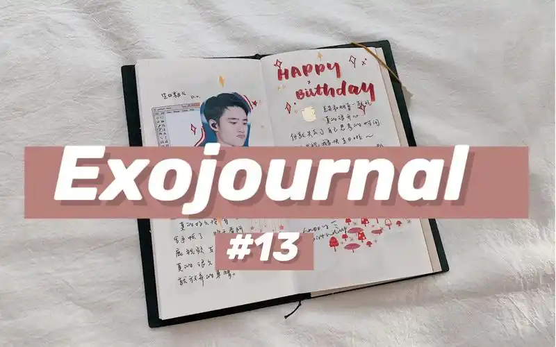 echoexojournalvol13爱丽追星手帐嘟嘟生日快乐哦