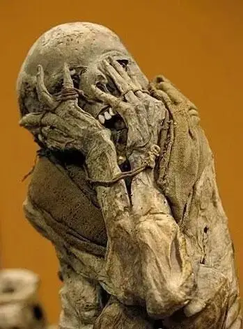 亚马逊雨林恐怖木乃伊例如把树脂涂抹在皮肤上,科学家认为这既能驱除