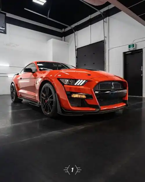 福特野马mustang shelby gt500装贴xpel窗膜