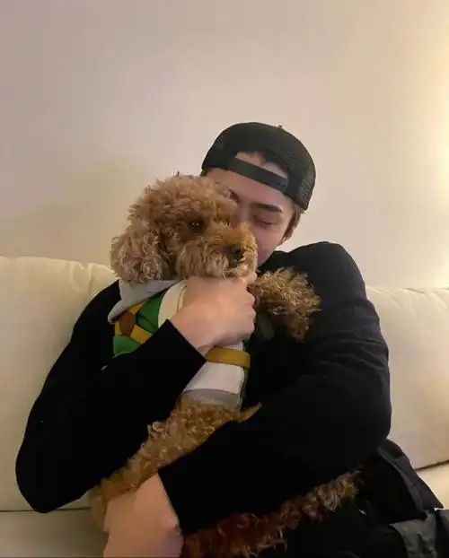 exo  #ins  #世勋  #吴世勋  #sehun