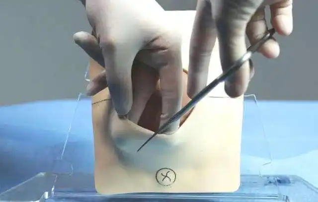 原创10指"开"多大?一张图带你看清,"女子本弱,为母则刚"