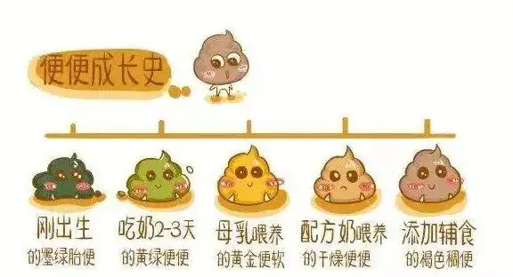 宝宝各种异常大便详解对妈妈超有用上