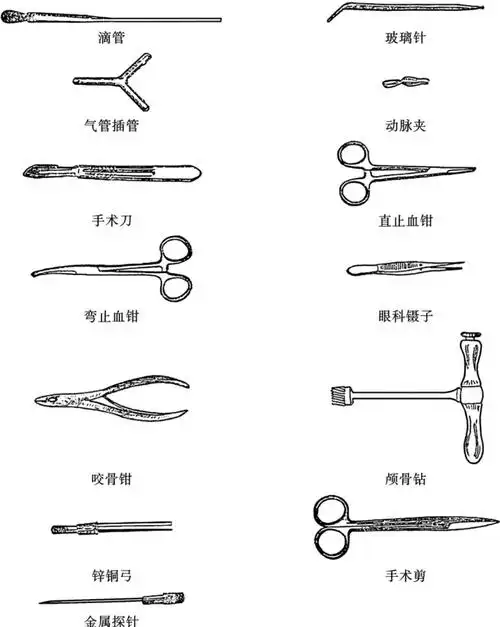 常用动物手术器械及其使用
