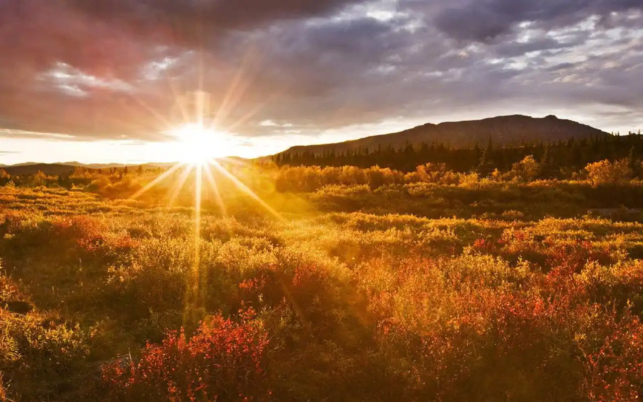 唯美清晨风景图片高清电脑壁纸