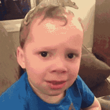 【趣味挑战】萌娃表情包斗图大赛,好看的皮囊千千万,有趣的宝宝在哪里