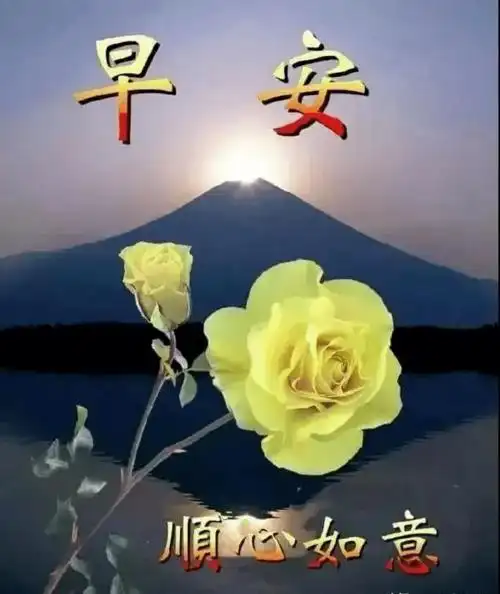 鲜花早上好图片大全 周四早安祝福语表情专辑