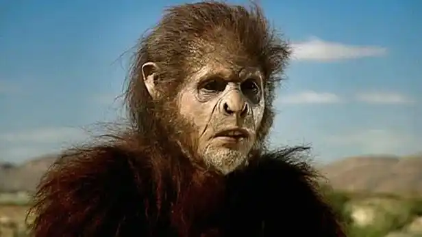 最早的人类为何诞生于非洲?