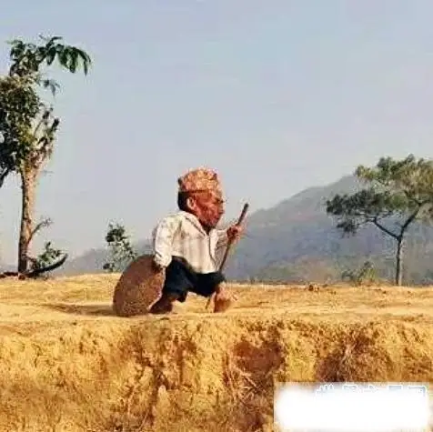 世界上最小的人排行榜