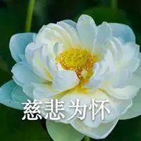 妈妈时尚风度微信头像_微信头像图片大全