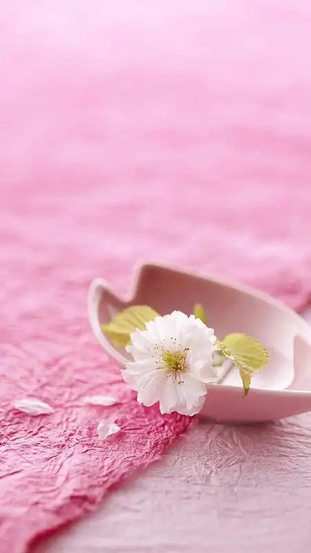 粉色花朵护肤养生手机端h5背景