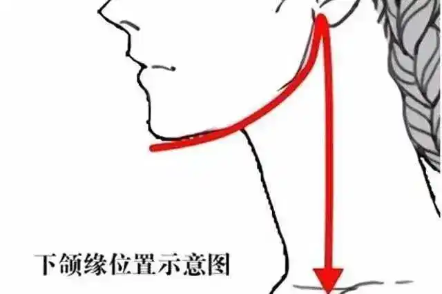 下颌线,就是少女和妇女的分界线