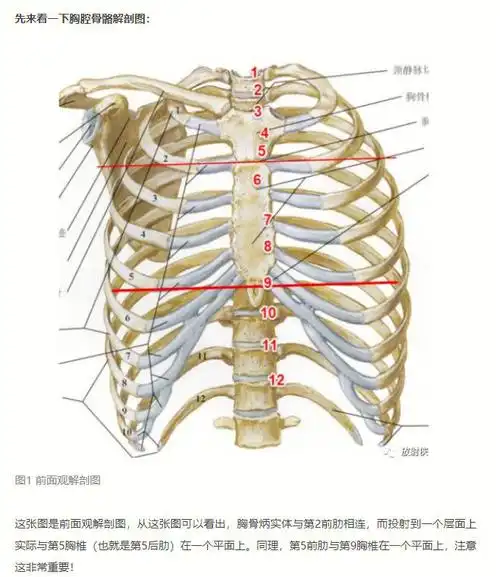 如何在胸片ctb超对胸腔积液定量和定位
