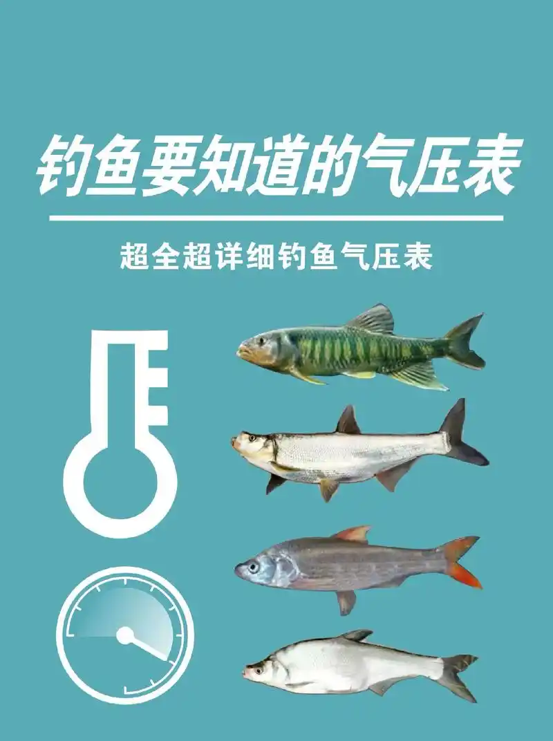 钓鱼气压很关键,气压低空气稀薄,水中溶氧变少 - 抖音