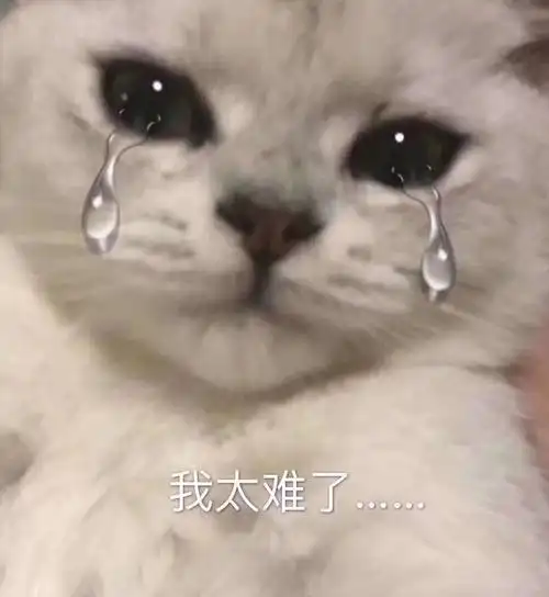 走去哥哥心里表情包 - 表情图