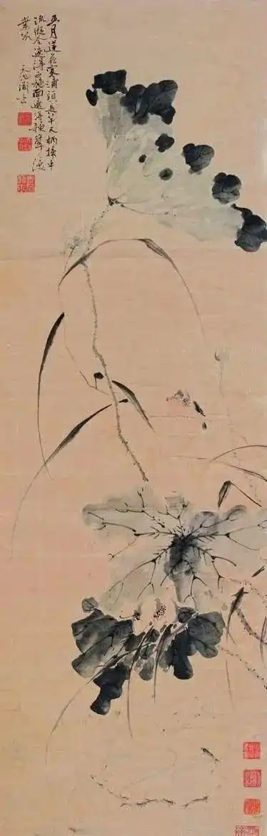 徐渭的水墨荷花那才叫一个狂