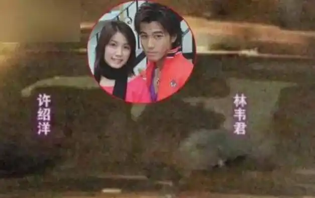 2003年,《海豚湾恋人》上映后,林韦君凭借剧中柔弱善良的"徐珊妮"一角