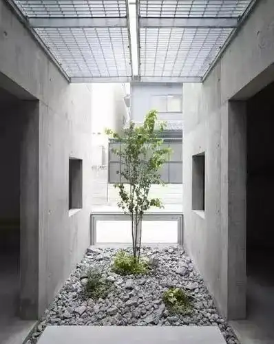 一面水泥墙,美了一个院子