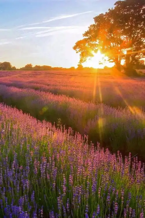 高清大自然风光美图