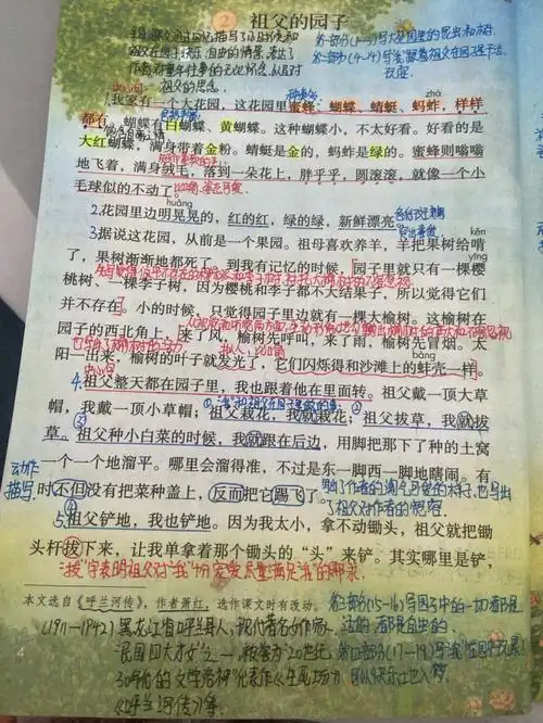 五年级下册语文2祖父的园子