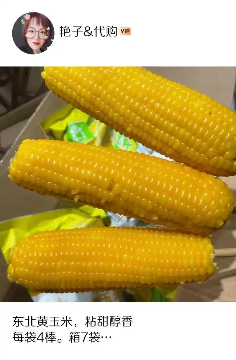 东北黄玉米,粘甜醇香 每袋4棒.箱7袋 黑土地玉米99就是香 - 抖音