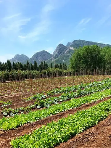 好风景都在农村,都在山里