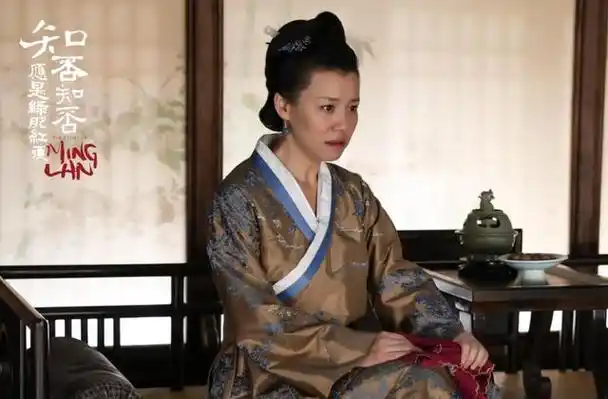 《知否》,《父辈的荣耀》,《仿生人间》她在《金水桥边》,《欢乐颂》