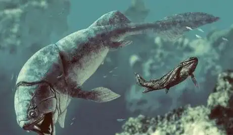 远古海洋霸主-邓氏鱼