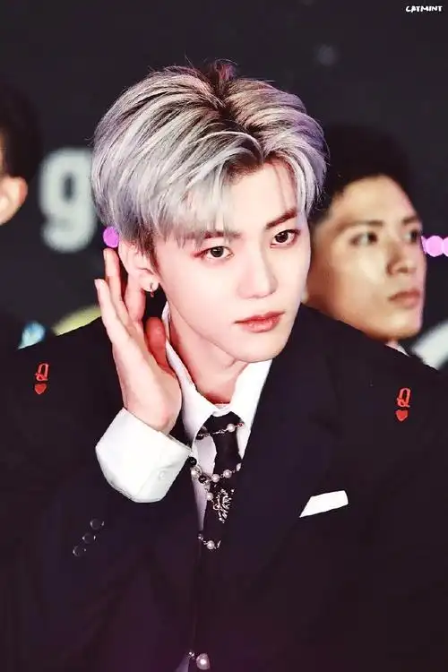 罗渽民清风霁月