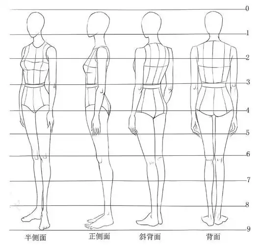 女性侧面站姿动态表现